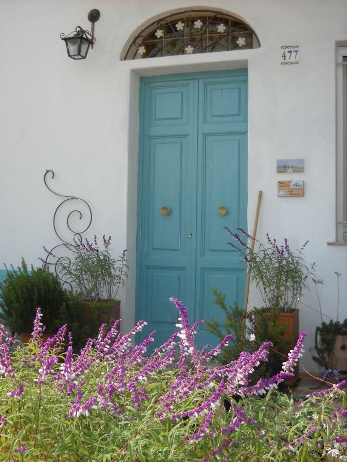 Giardino Della Moscatella Bed & Breakfast Altamura Ngoại thất bức ảnh