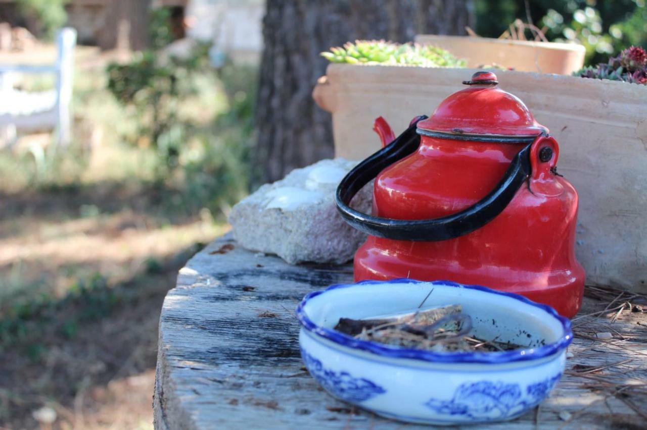Giardino Della Moscatella Bed & Breakfast Altamura Ngoại thất bức ảnh